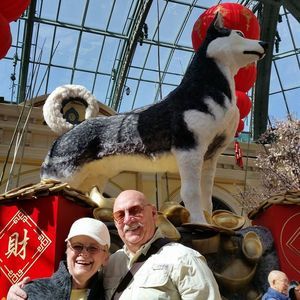 Meet your Posher, Sandy